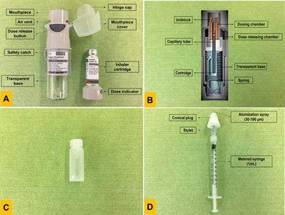 Repurposing mucosal delivery devices for live attenuated tuberculosis vaccines